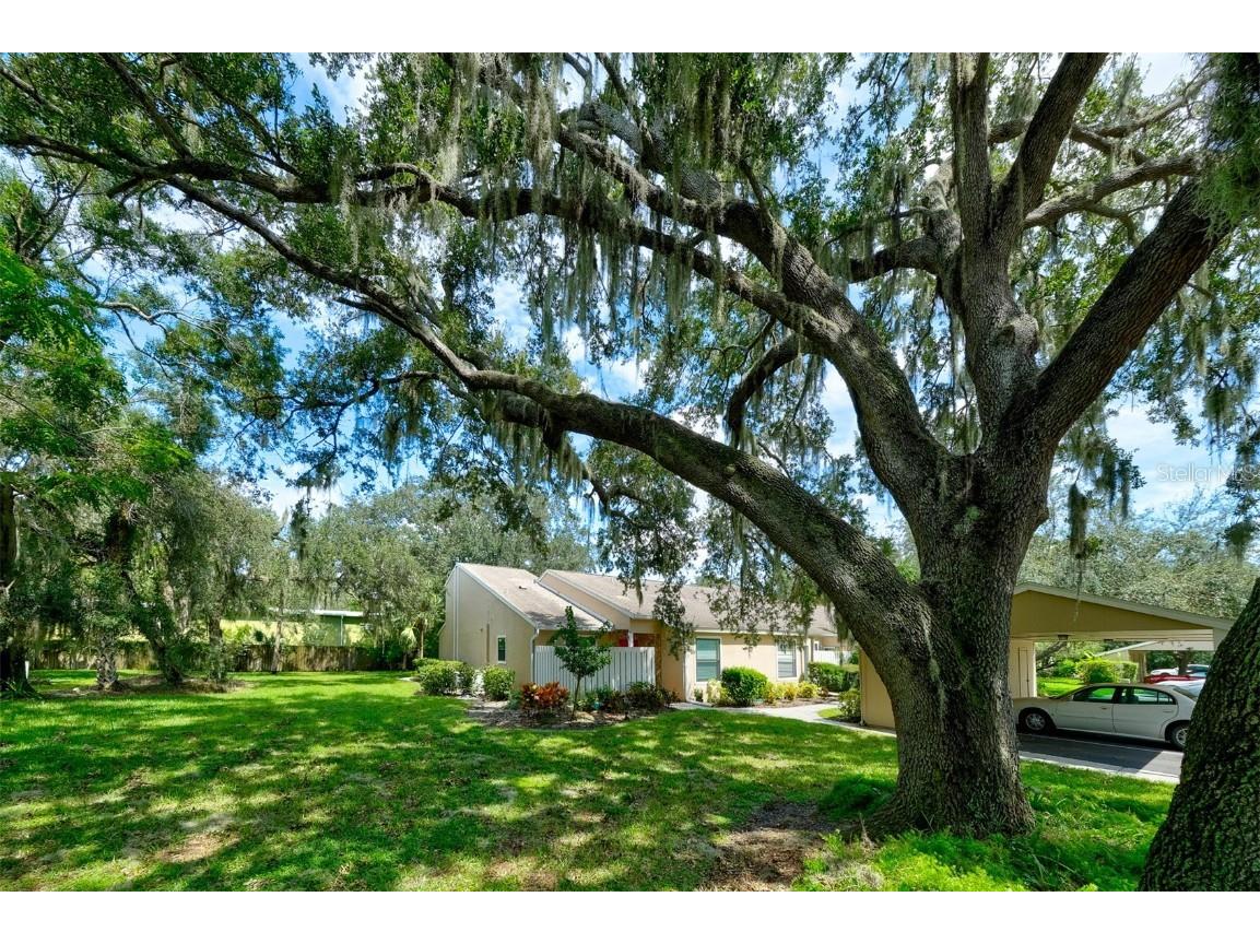 3447 Tallywood Lane #7143 Sarasota FL 34237 A4663826 image6