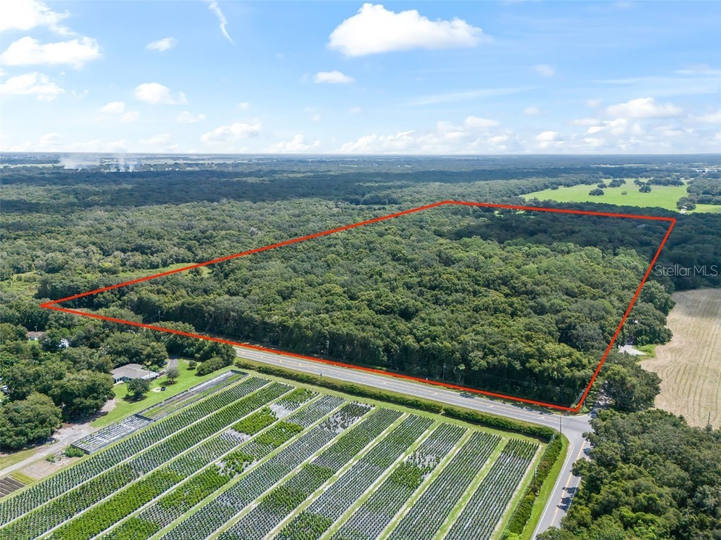 3448 Cr 567 Center Hill FL 33514 G5086134 image3