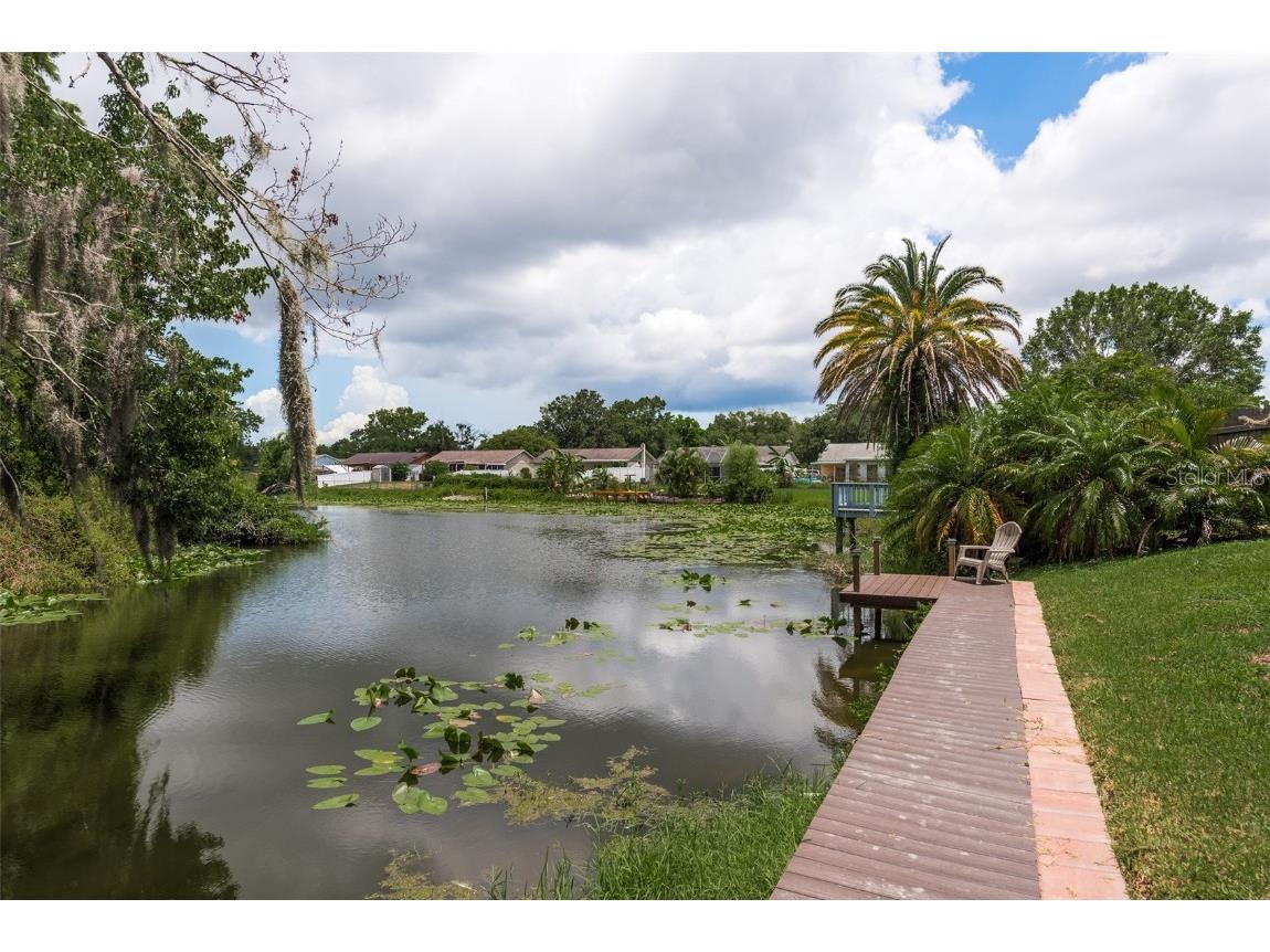 3448 Dellefield Street New Port Richey FL 34655 U8248065 image1