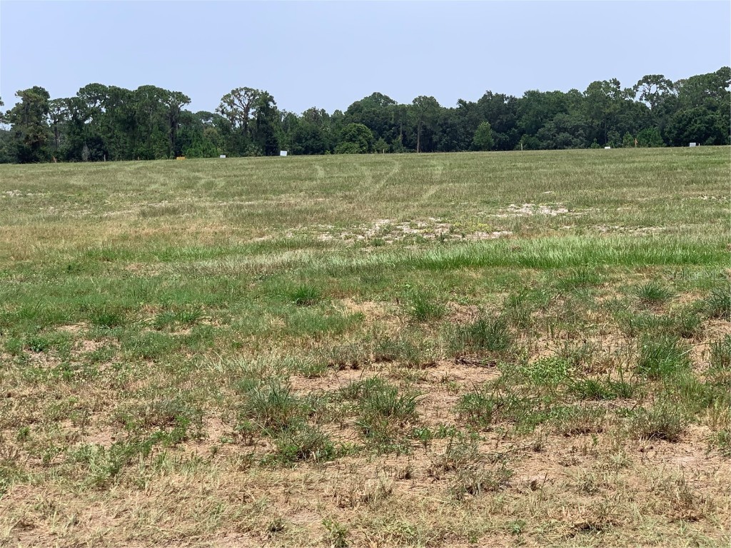 3448 Lake Diane Road Tavares FL 32778 - LAKE DIANE/HARRIS CHAIN ACCESS O6287404 image2