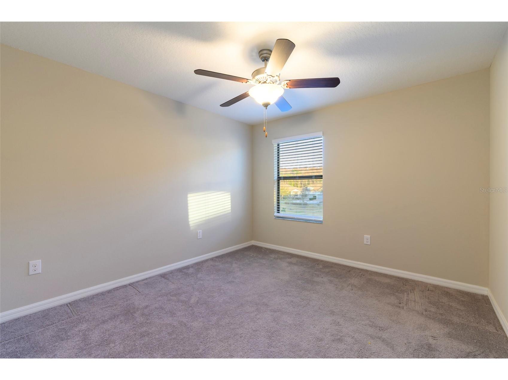 3448 Pine Ribbon Drive Land O Lakes FL 34638 TB8480682 image20