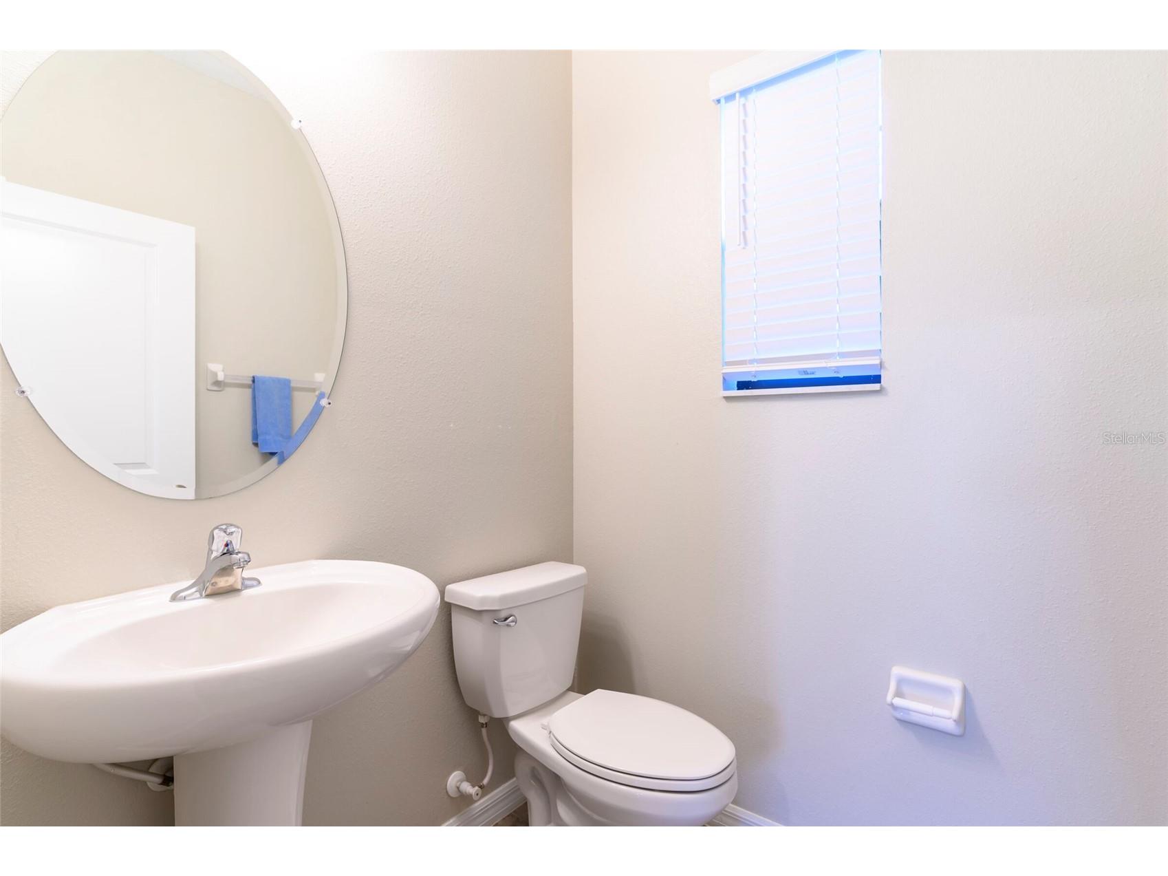 3448 Pine Ribbon Drive Land O Lakes FL 34638 TB8480682 image4