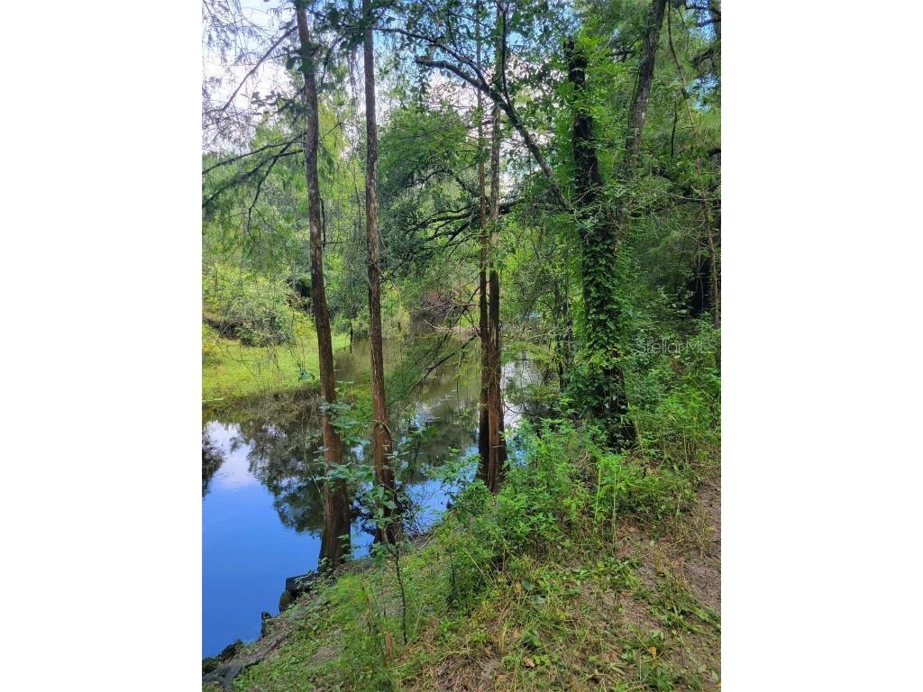 3448 Riverdale Drive Dade City FL 33523 - WITHLACOOCHEE RIVER U8182814 image1