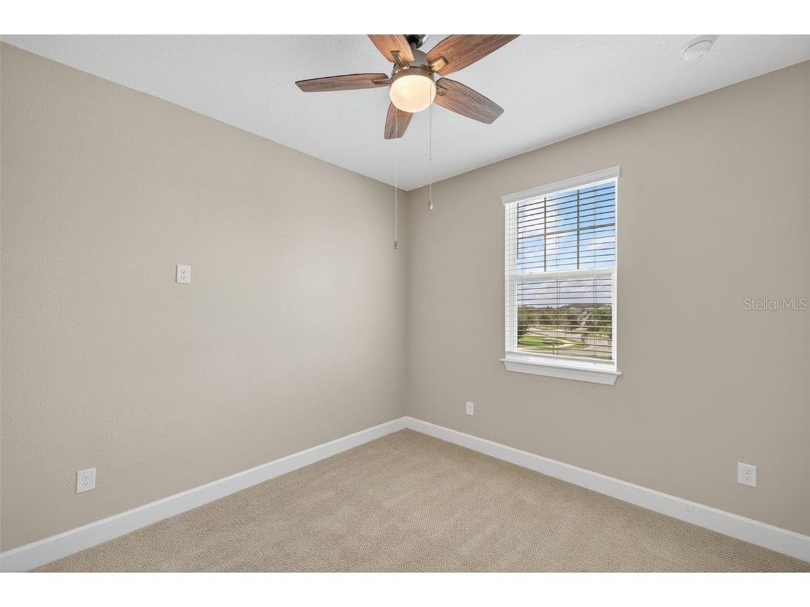 34480 Wynthorne Place Wesley Chapel FL 33545 TB8428663 image40