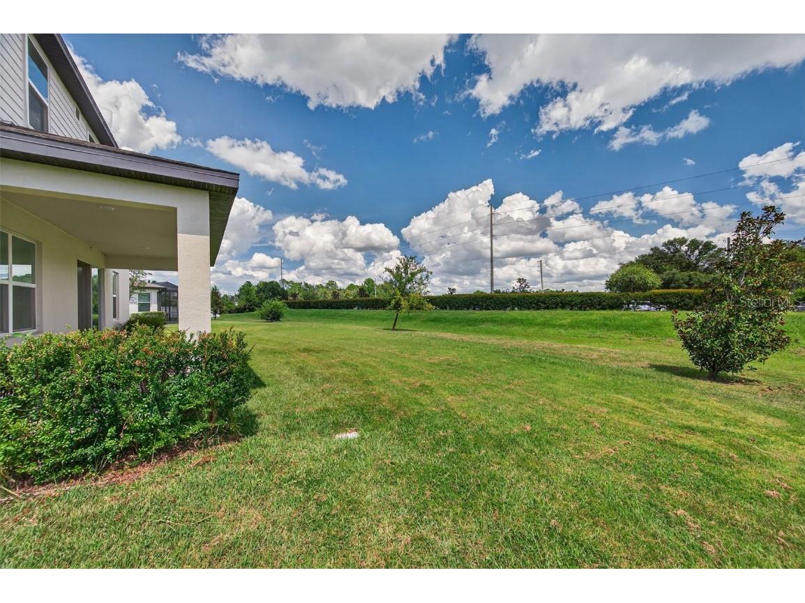 34480 Wynthorne Place Wesley Chapel FL 33545 TB8428663 image46