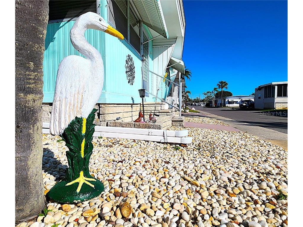 34483 Cactus Drive N Pinellas Park FL 33781 TB8383168 image33