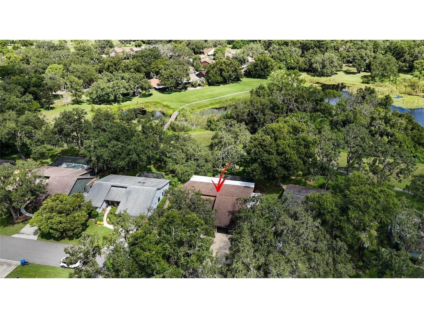 34485 Cedarfield Drive Dade City FL 33523 TB8417773 image14