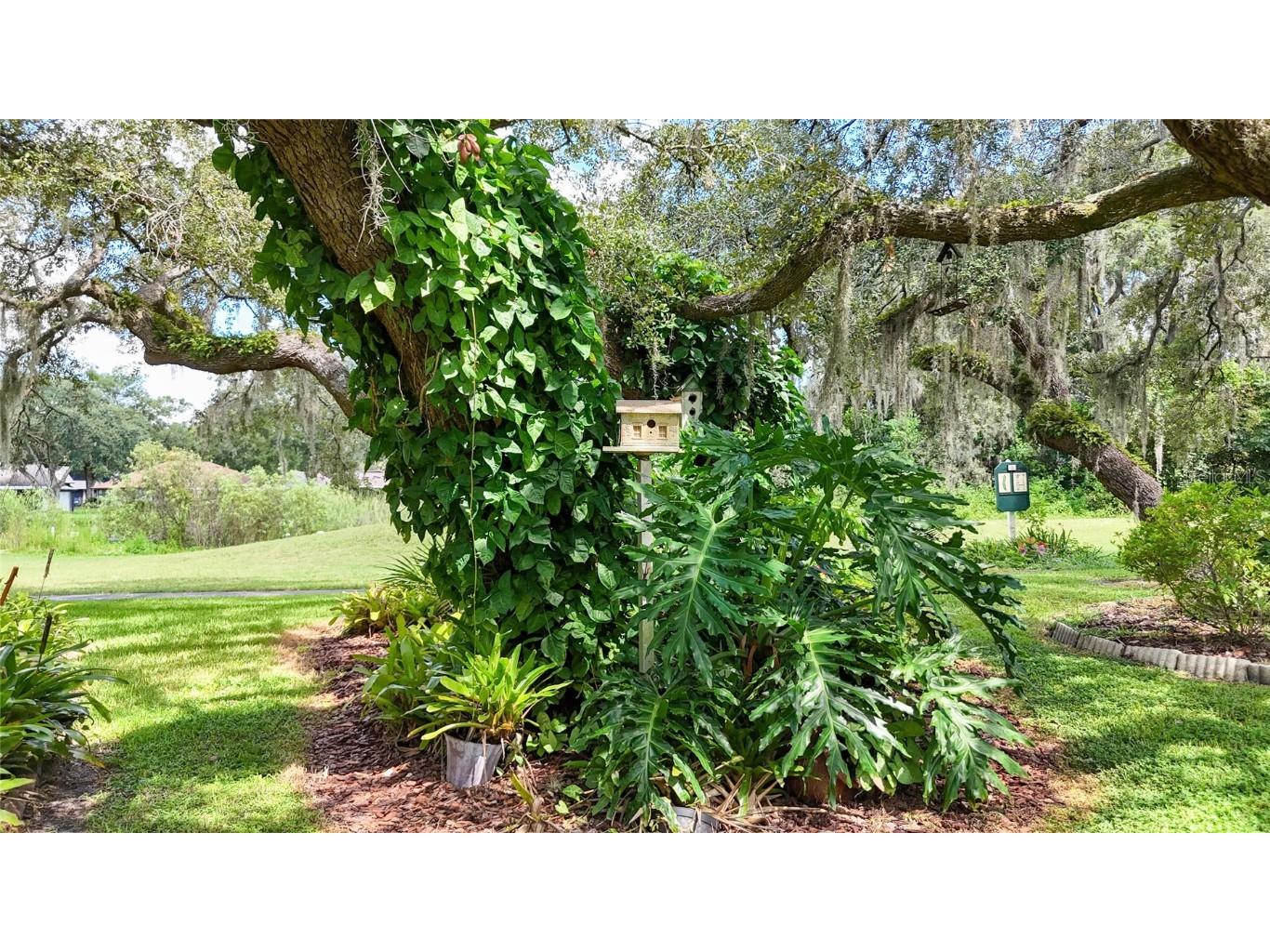 34485 Cedarfield Drive Dade City FL 33523 TB8417773 image63