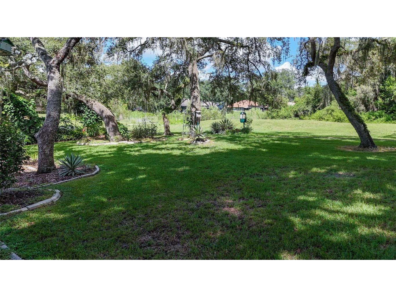 34485 Cedarfield Drive Dade City FL 33523 TB8417773 image64