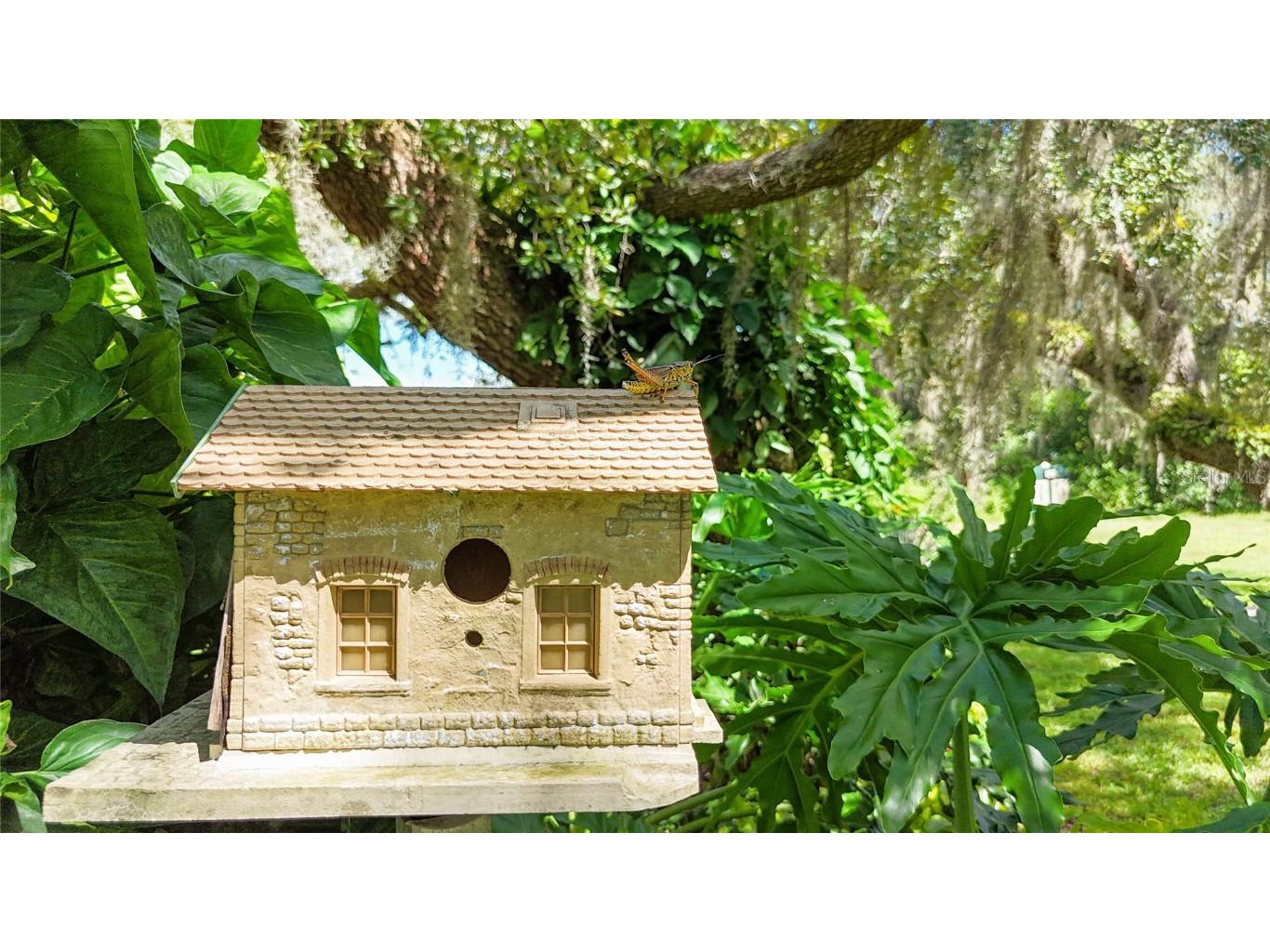 34485 Cedarfield Drive Dade City FL 33523 TB8417773 image66