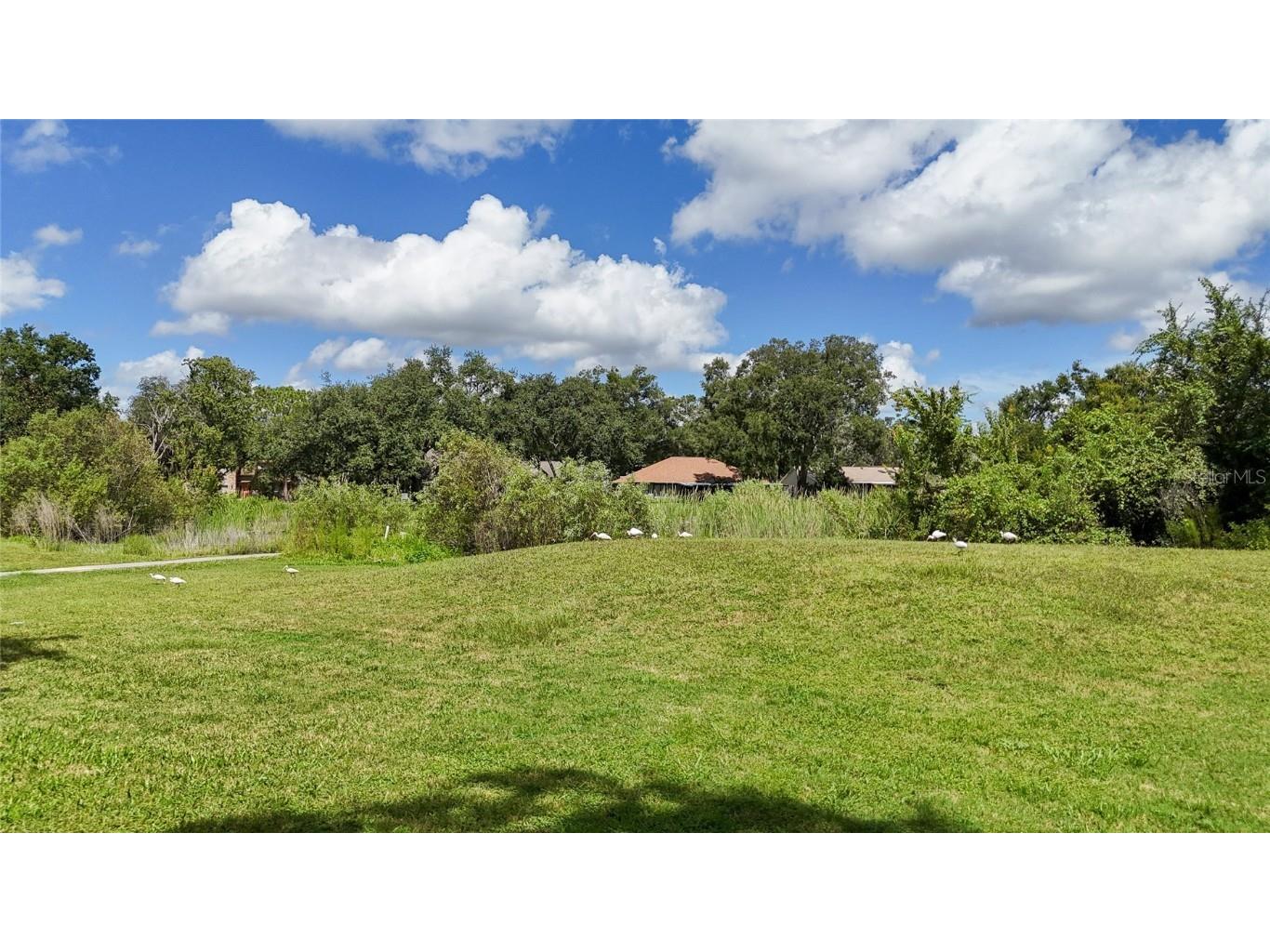 34485 Cedarfield Drive Dade City FL 33523 TB8417773 image69