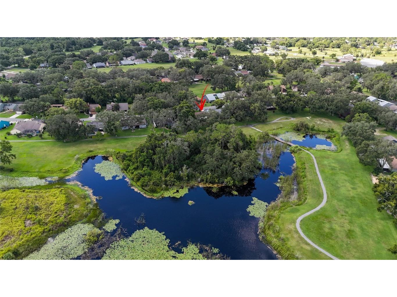 34485 Cedarfield Drive Dade City FL 33523 TB8417773 image71