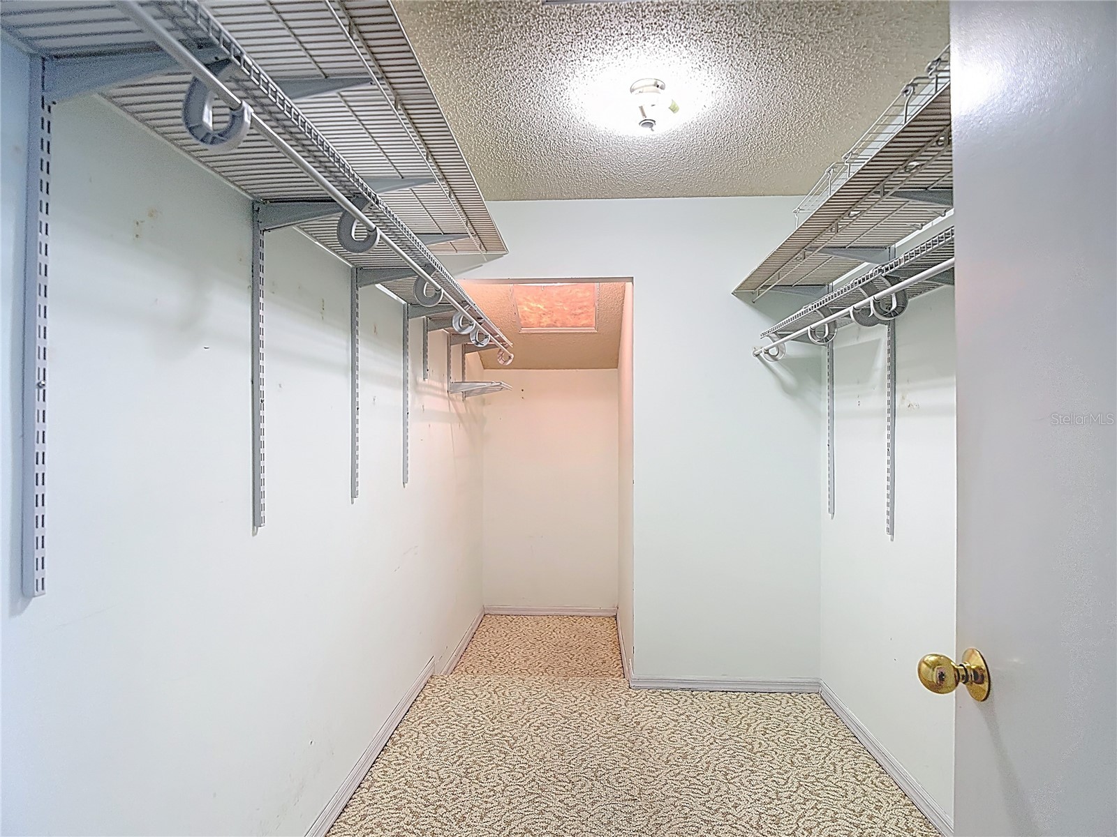 34485 Cedarfield Drive Dade City FL 33523 W7884038 image46