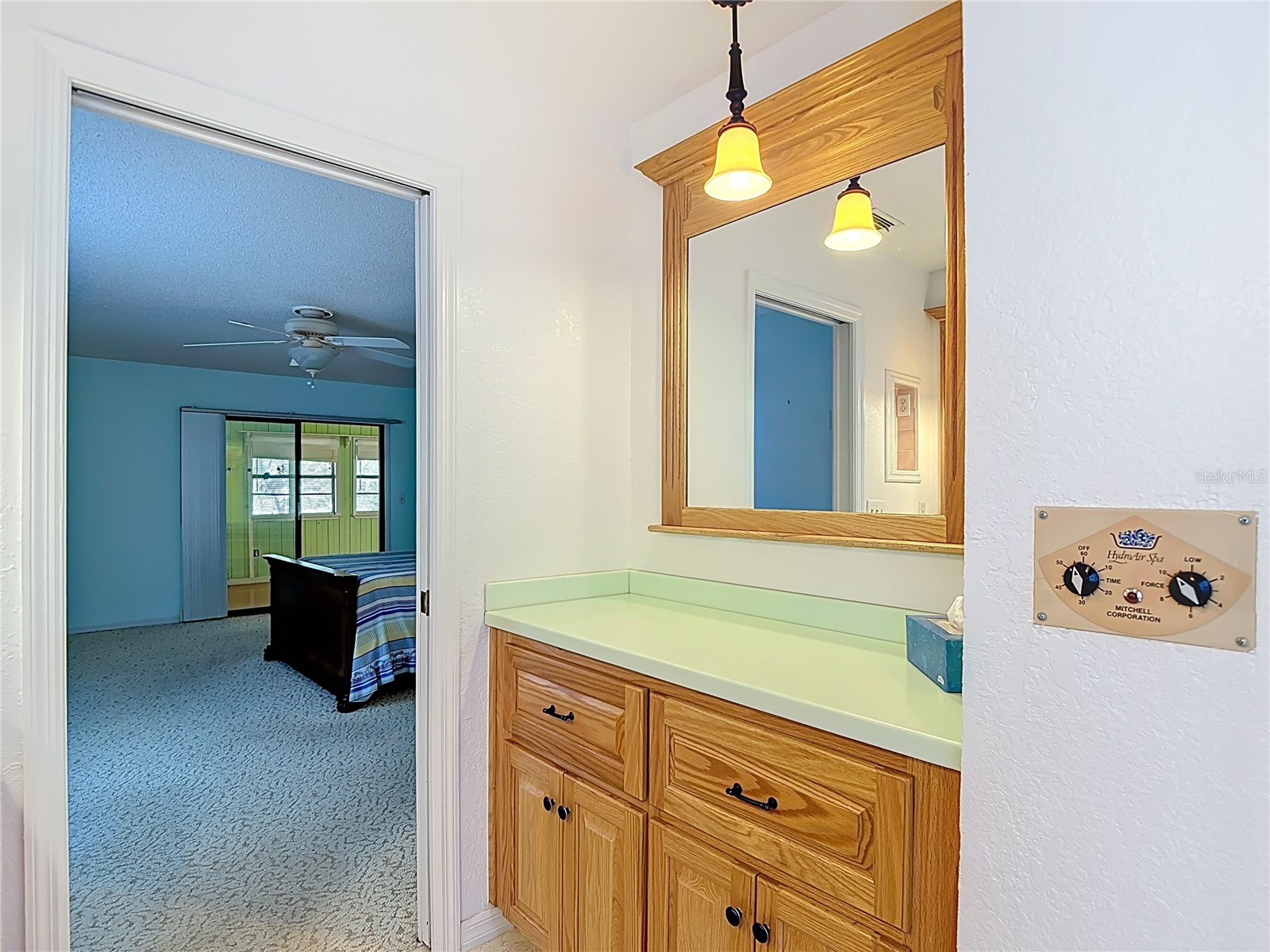 34485 Cedarfield Drive Dade City FL 33523 W7884038 image52