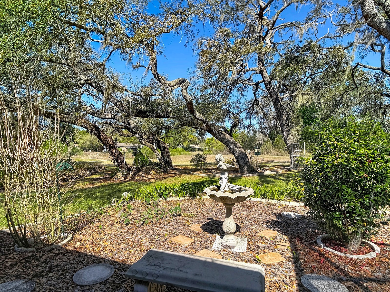 34485 Cedarfield Drive Dade City FL 33523 W7884038 image77