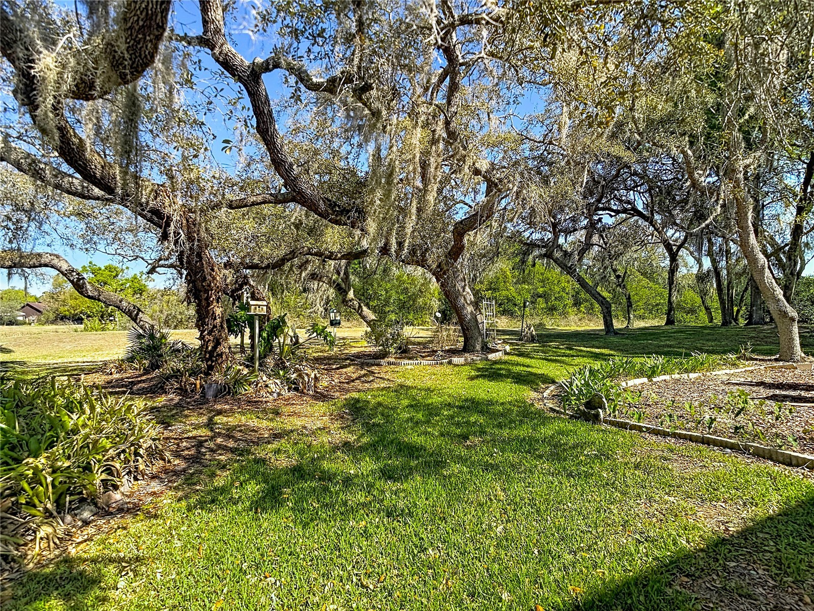 34485 Cedarfield Drive Dade City FL 33523 W7884038 image78