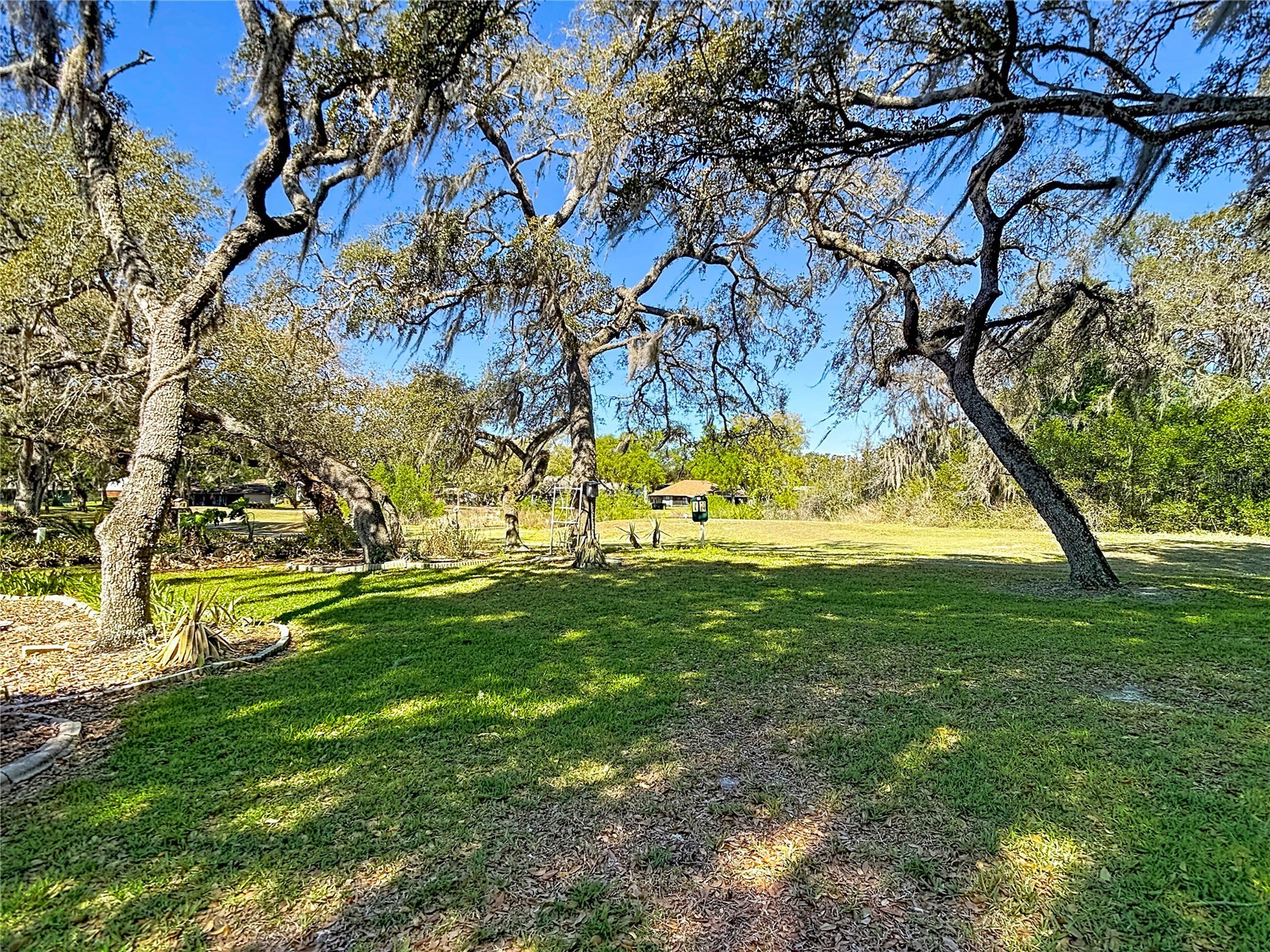 34485 Cedarfield Drive Dade City FL 33523 W7884038 image79