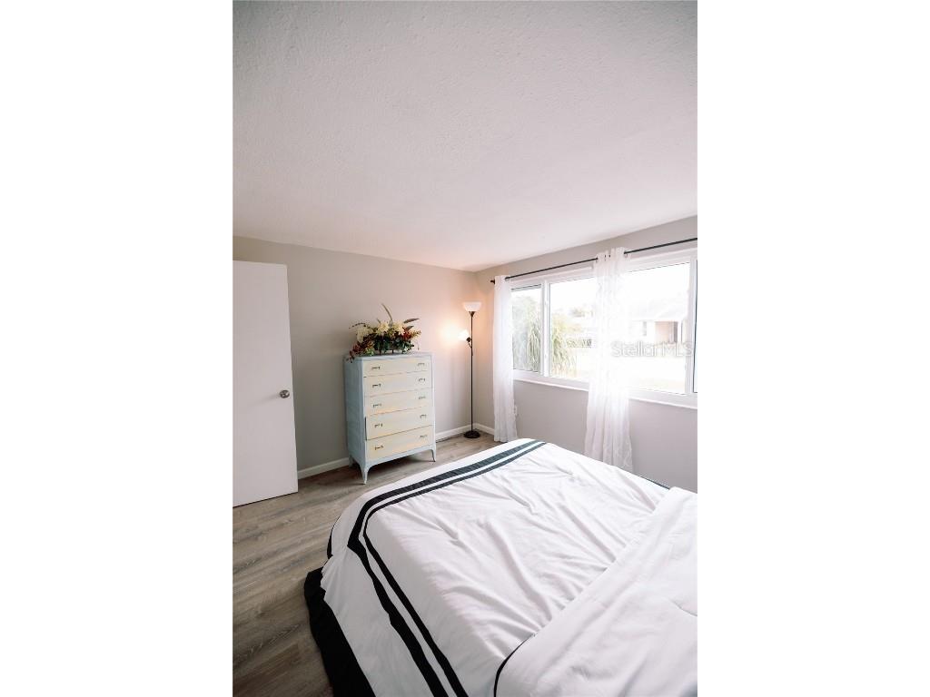 3449 Springfield Drive Holiday FL 34691 TB8438704 image19