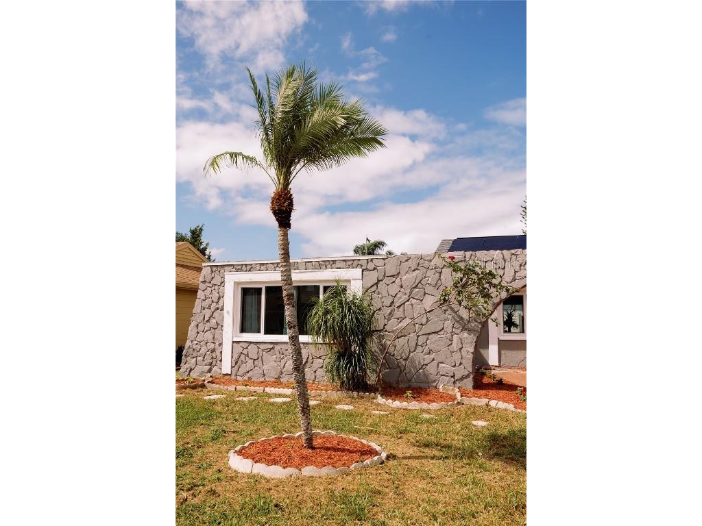 3449 Springfield Drive Holiday FL 34691 TB8438704 image30