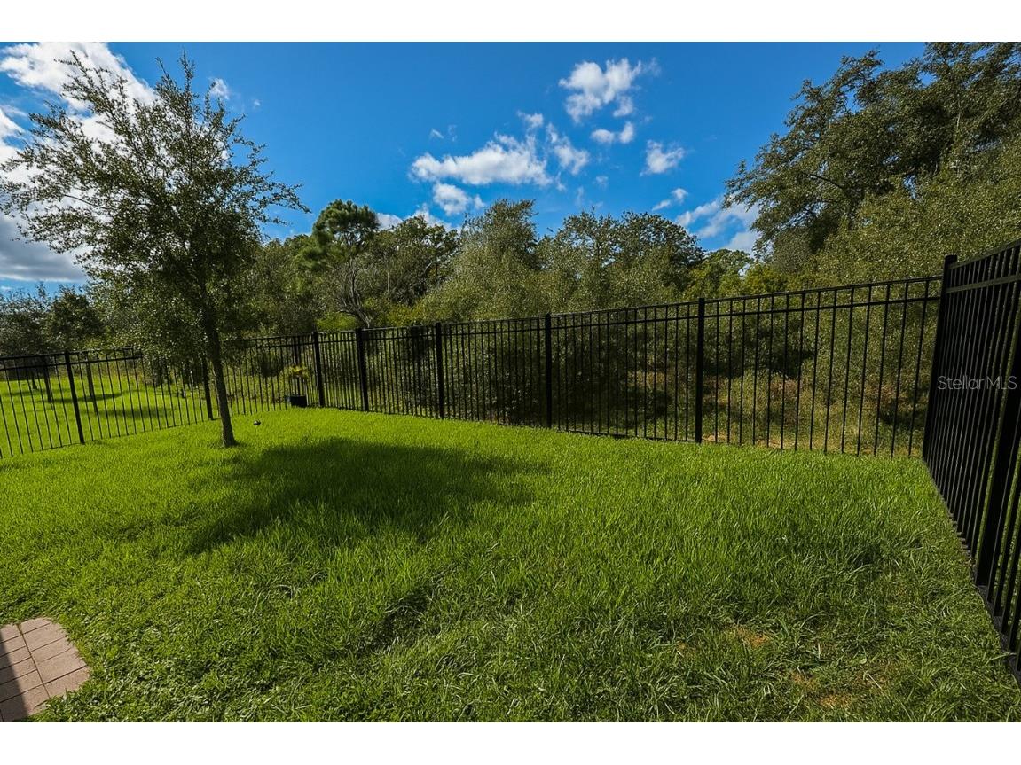 3449 Twin Flower Court Clermont FL 34714 O6359157 image13