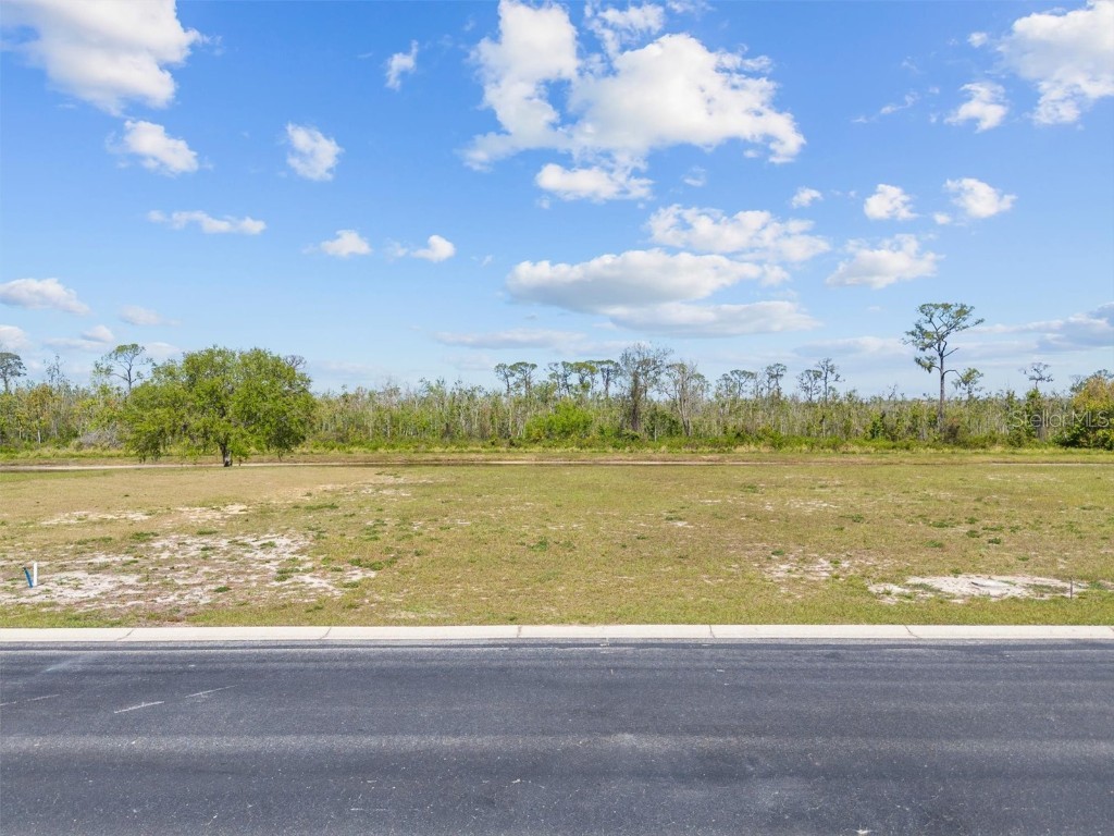 345 Adams View Lane Auburndale FL 33823 P4934260 image2