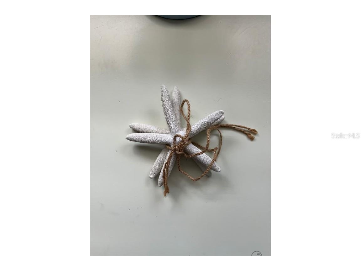 345 Avenida Leona Sarasota FL 34242 A4569687 image43