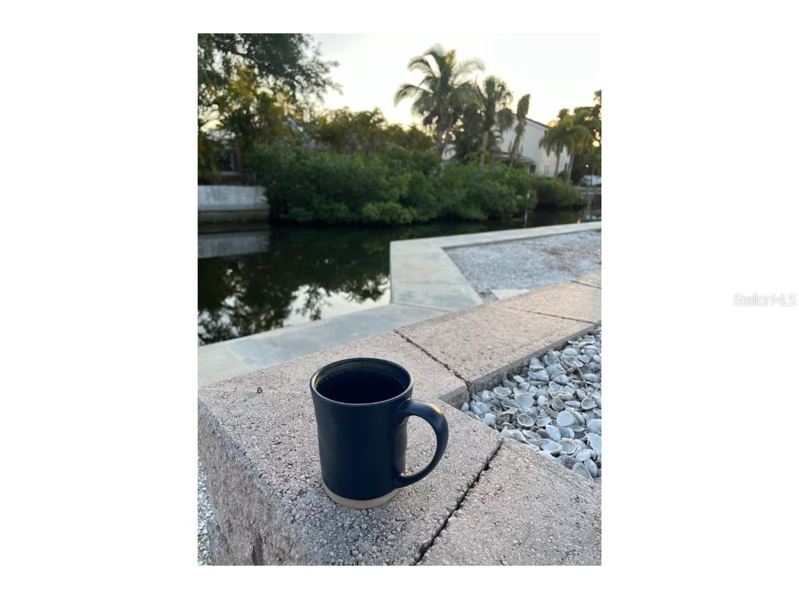 345 Avenida Leona Sarasota FL 34242 A4569687 image71