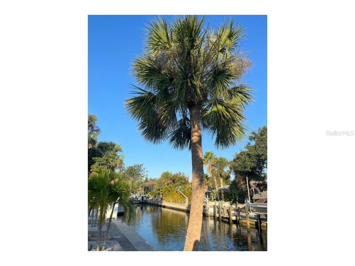 345 Avenida Leona Sarasota FL 34242 A4569687 image72