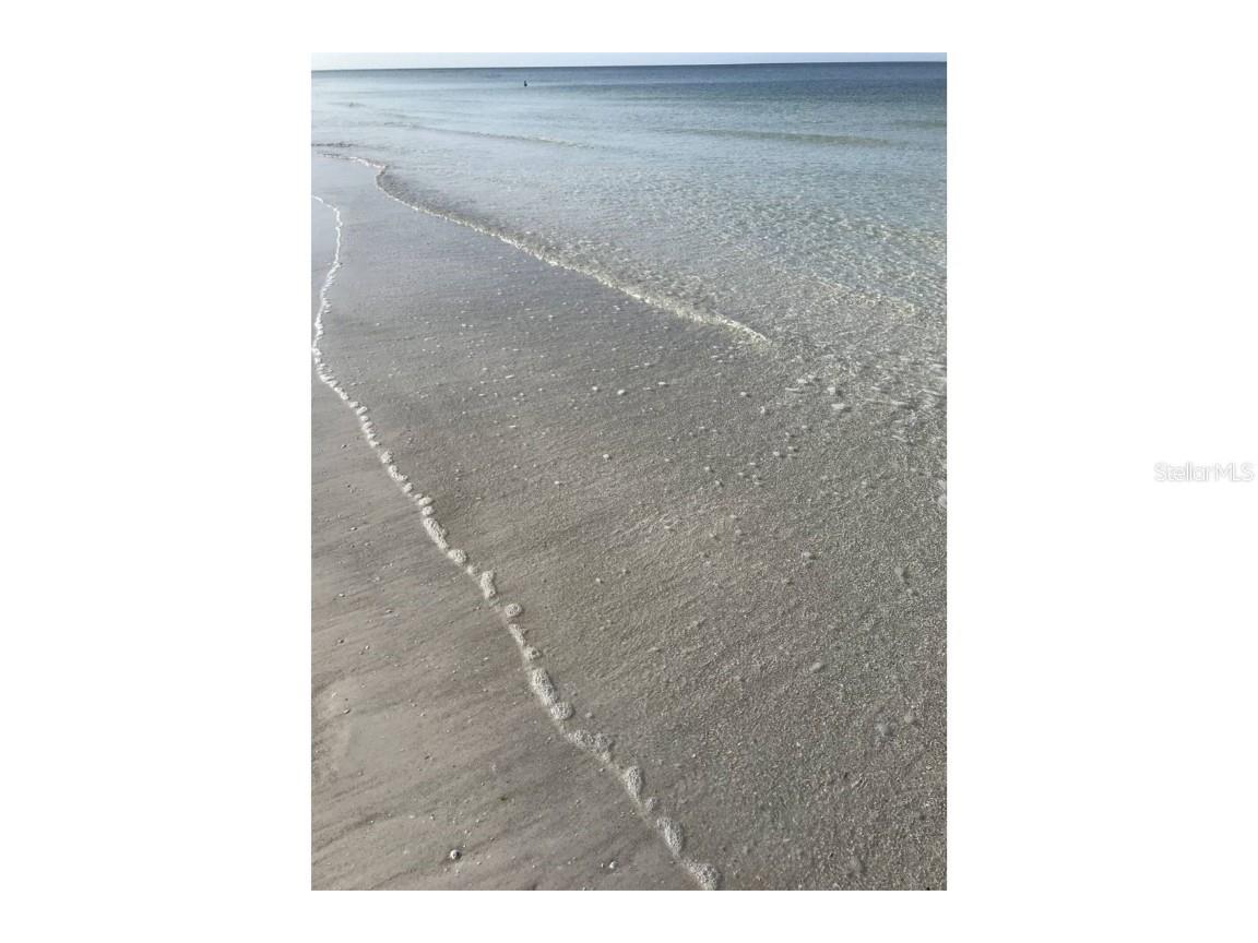 345 Avenida Leona Sarasota FL 34242 A4569687 image80