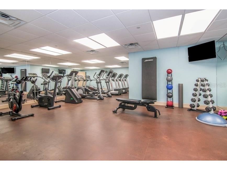 345 Bayshore Boulevard #1203 Tampa FL 33606 - HILLSBOROUGH BAY TB8473521 image16