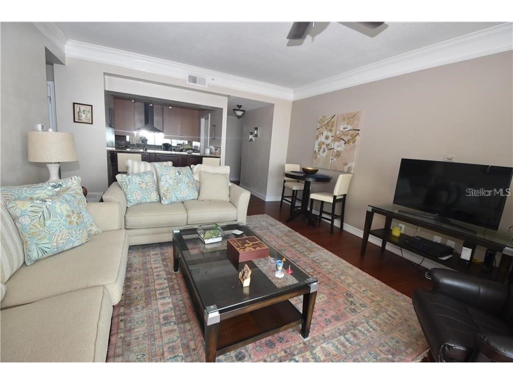 345 Bayshore Boulevard #1601 Tampa FL 33606 TB8461393 image5