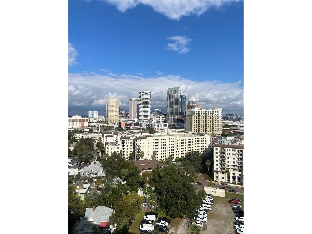 345 Bayshore Boulevard #1710 Tampa FL 33606 - TAMPA BAY & HILLSBOROUGH RIVER TB8461533 image20