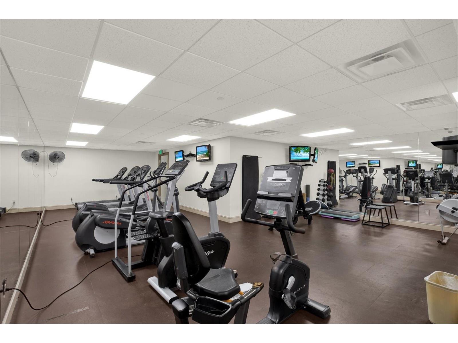 345 Bayshore Boulevard #302 Tampa FL 33606 TB8479788 image38