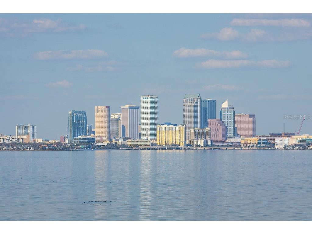 345 Bayshore Boulevard #305 Tampa FL 33606 - HILLSBOROUGH BAY TB8439975 image3