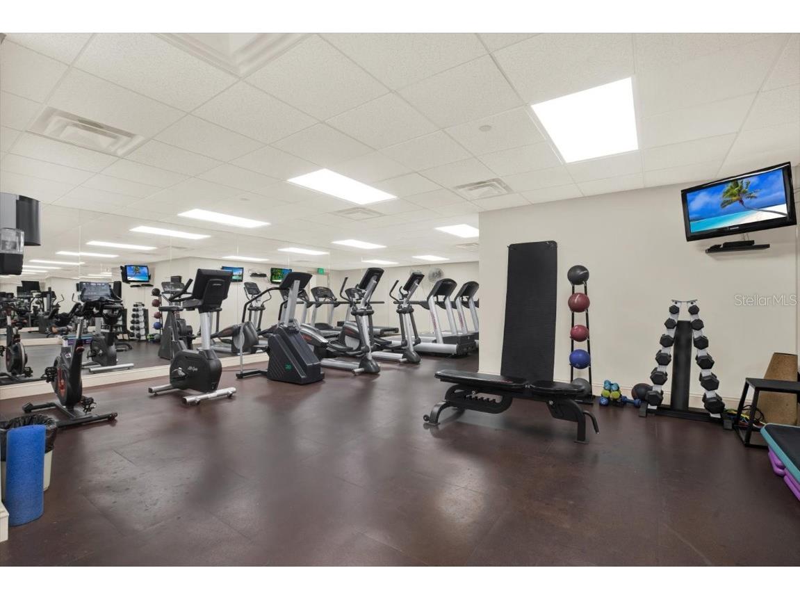 345 Bayshore Boulevard #310 Tampa FL 33606 - TAMPA BAY / HILLSBOROUGH RIVER TB8452879 image23