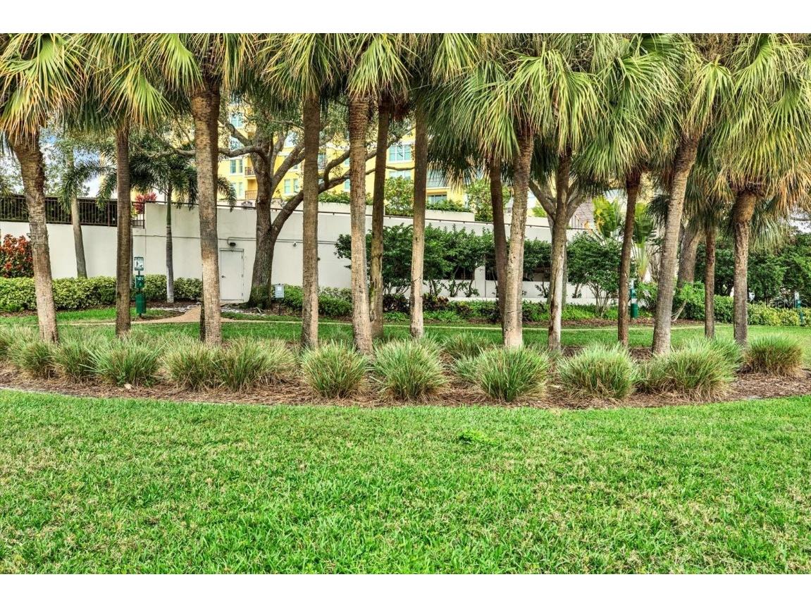 345 Bayshore Boulevard #310 Tampa FL 33606 - TAMPA BAY / HILLSBOROUGH RIVER TB8452879 image28
