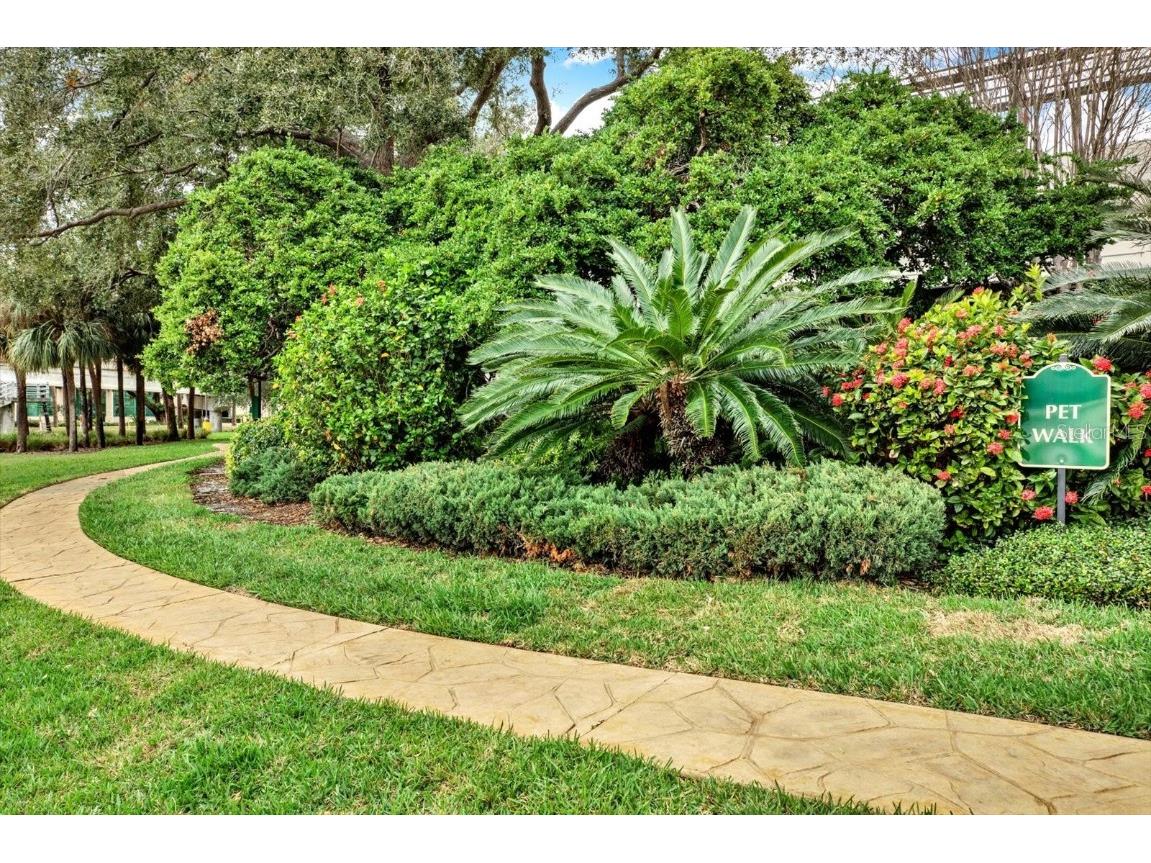 345 Bayshore Boulevard #310 Tampa FL 33606 - TAMPA BAY / HILLSBOROUGH RIVER TB8452879 image29