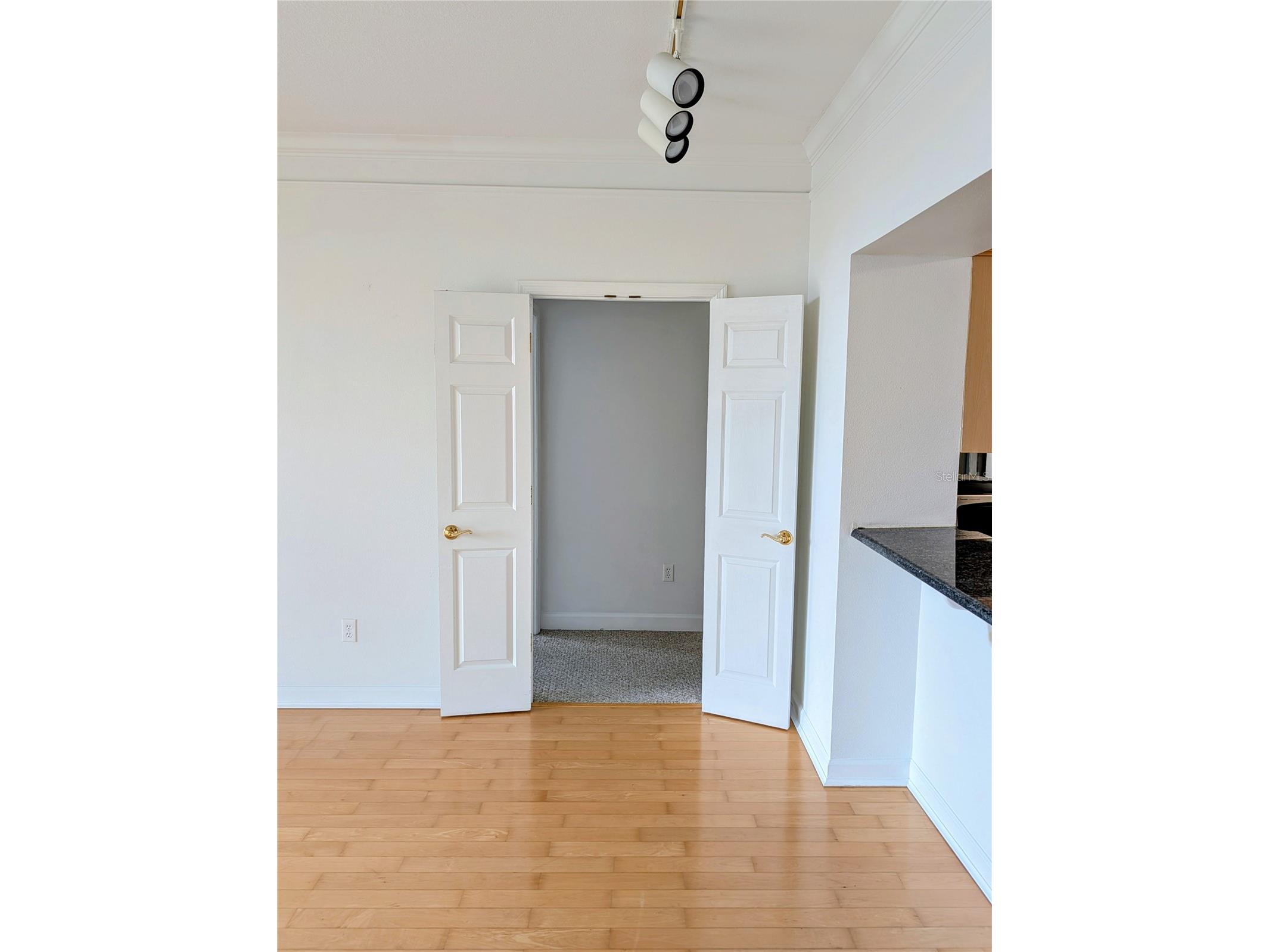 345 Bayshore Boulevard #505 Tampa FL 33606 TB8497704 image10