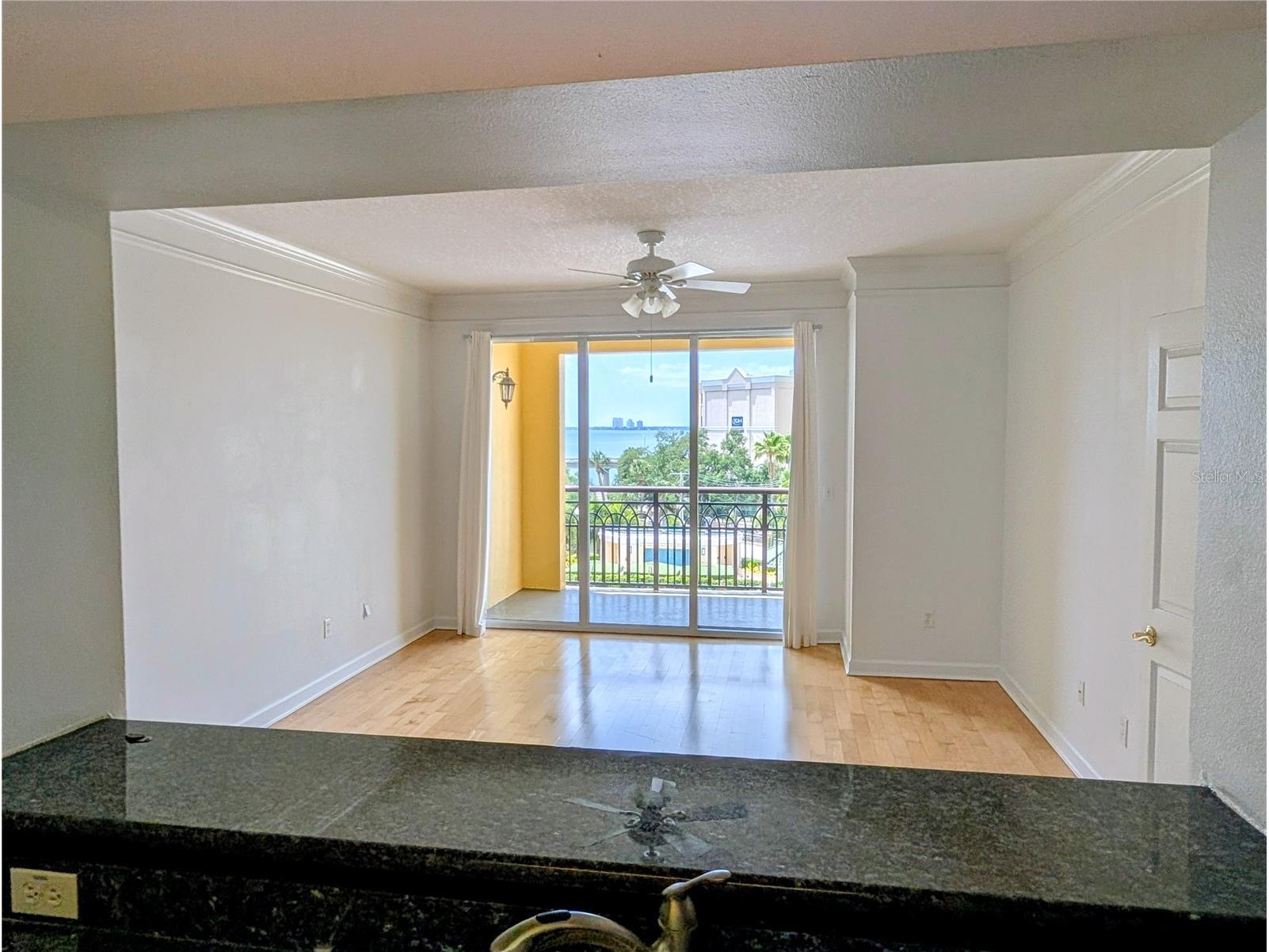 345 Bayshore Boulevard #505 Tampa FL 33606 TB8497704 image4
