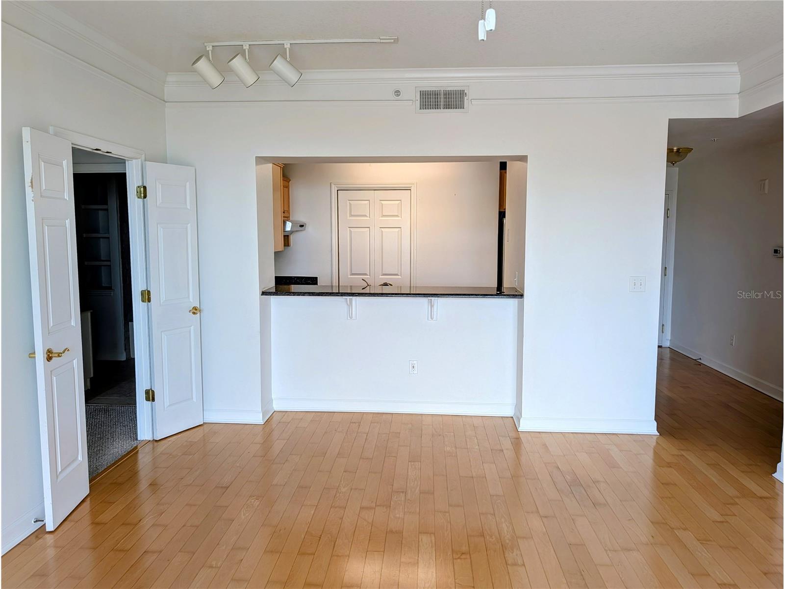 345 Bayshore Boulevard #505 Tampa FL 33606 TB8497704 image7