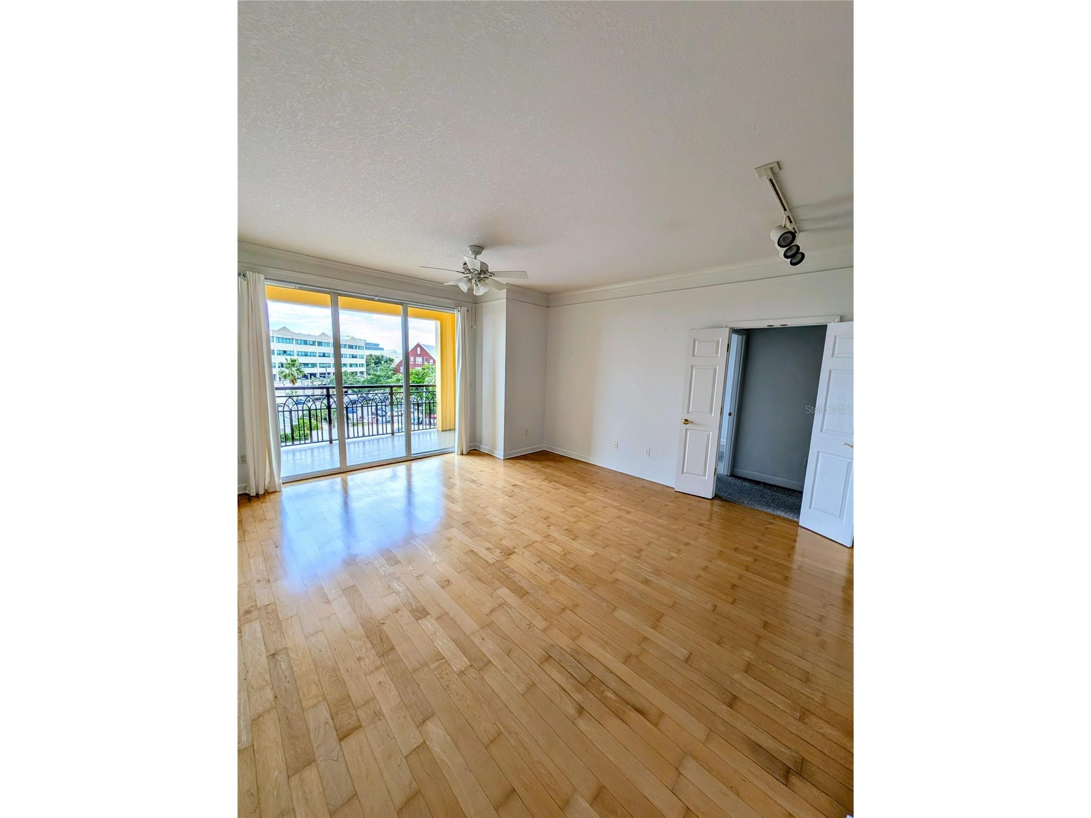 345 Bayshore Boulevard #505 Tampa FL 33606 TB8497704 image9
