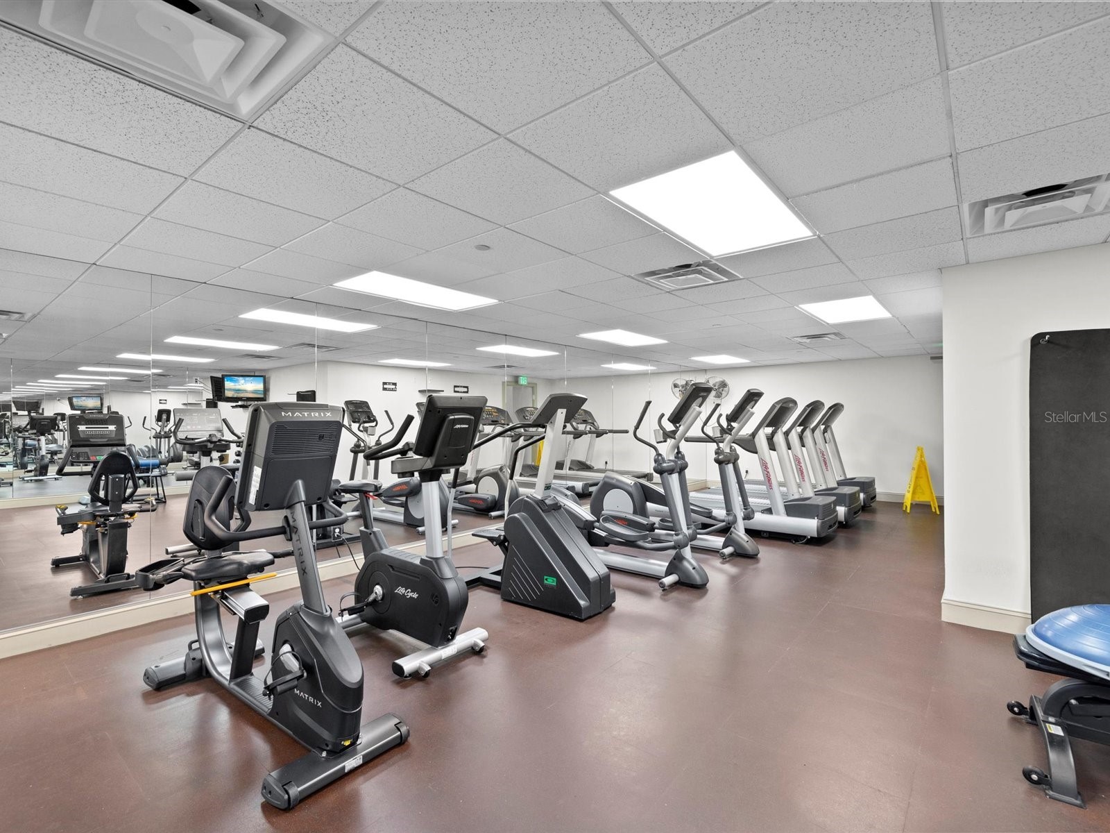 345 Bayshore Boulevard #603 Tampa FL 33606 TB8467229 image33