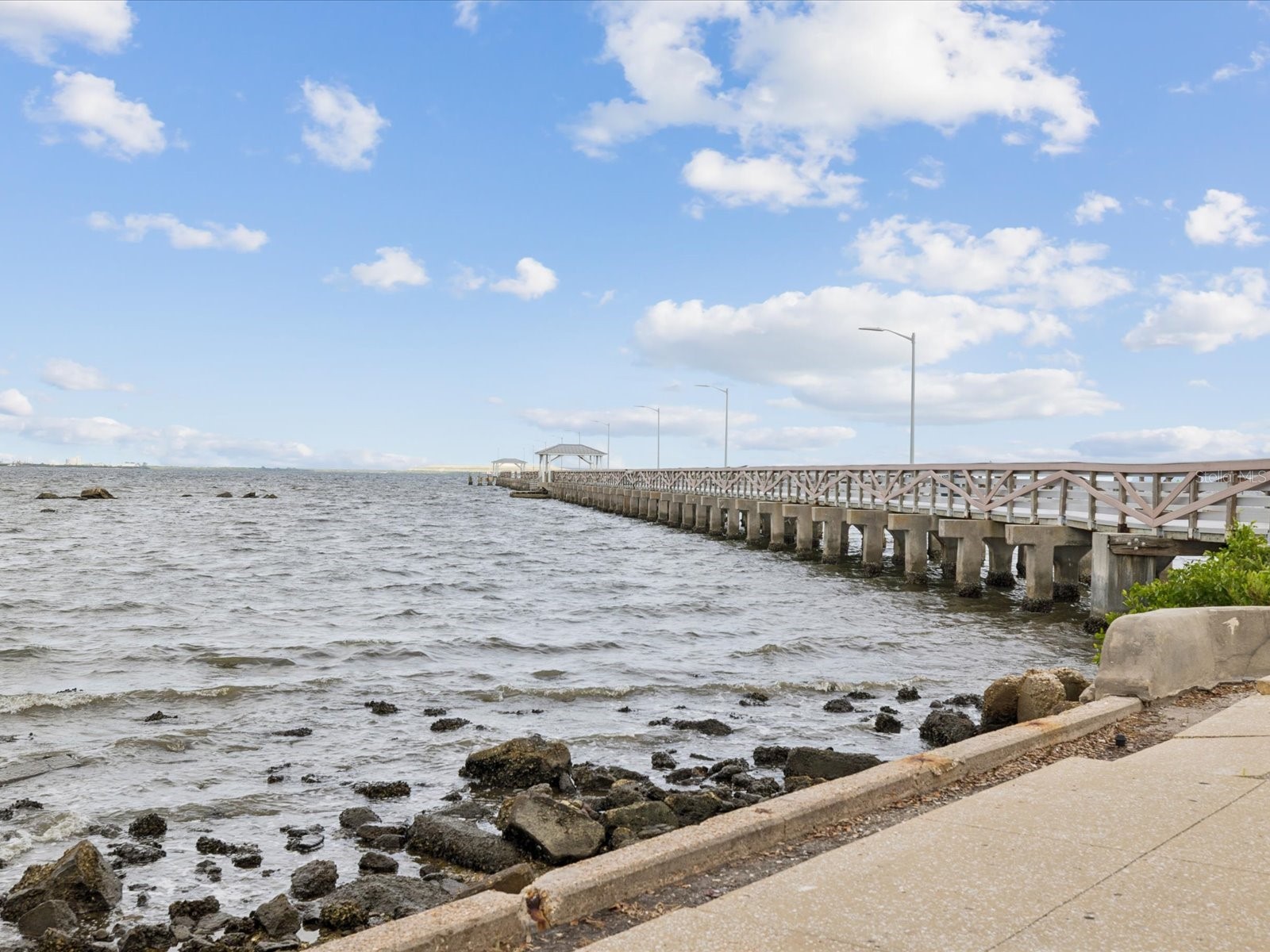 345 Bayshore Boulevard #603 Tampa FL 33606 TB8467229 image46