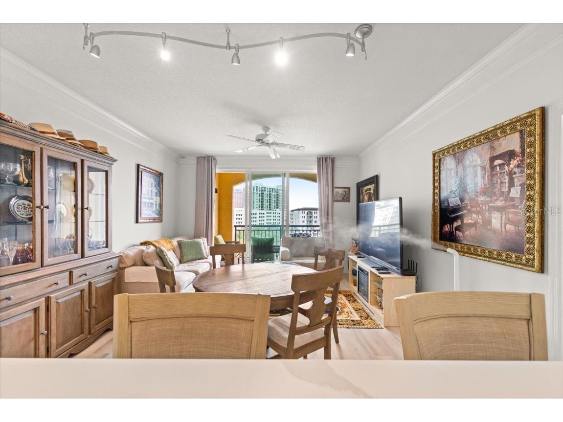 345 Bayshore Boulevard #706 Tampa FL 33606 - TAMPA BAY TB8455305 image11