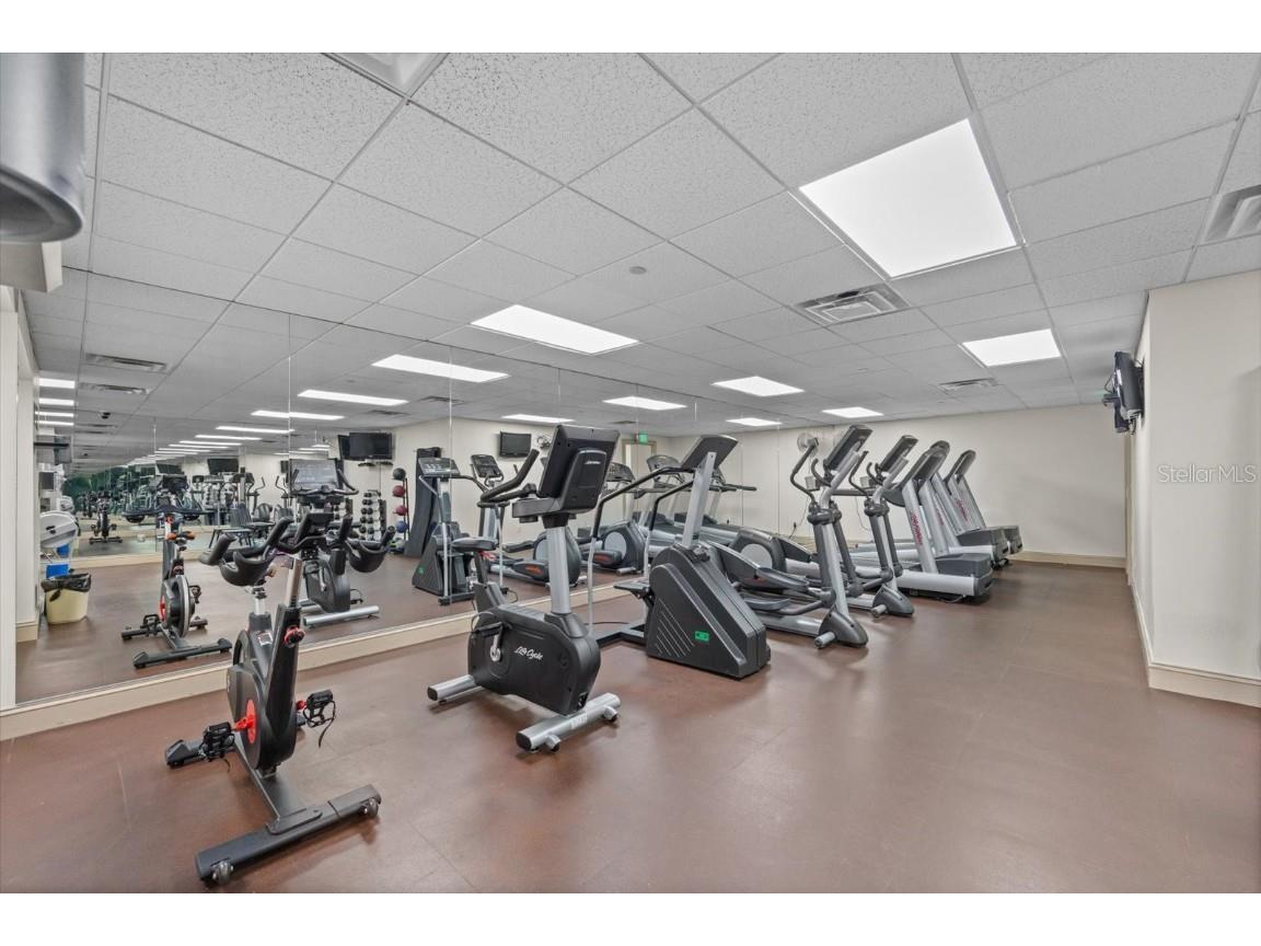 345 Bayshore Boulevard #706 Tampa FL 33606 - TAMPA BAY TB8455305 image28