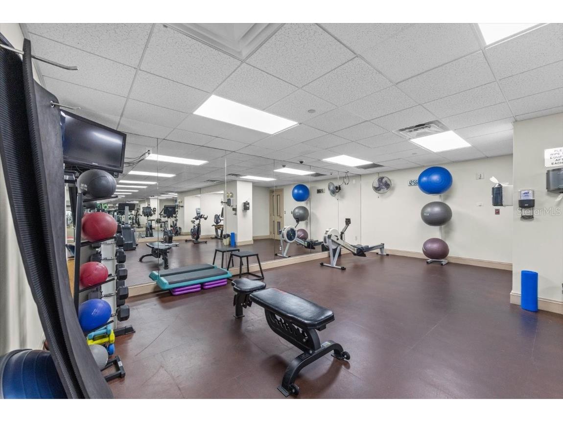 345 Bayshore Boulevard #706 Tampa FL 33606 - TAMPA BAY TB8455305 image29