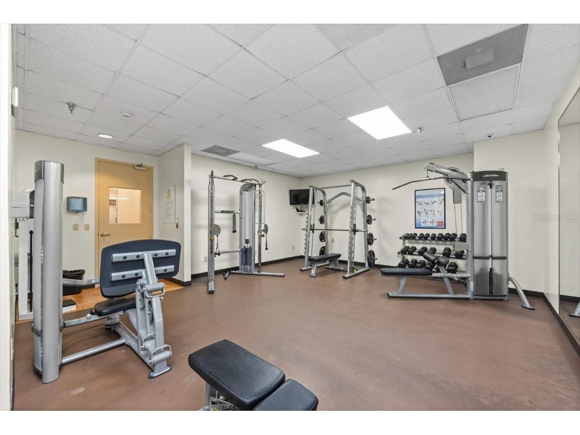 345 Bayshore Boulevard #706 Tampa FL 33606 - TAMPA BAY TB8455305 image30