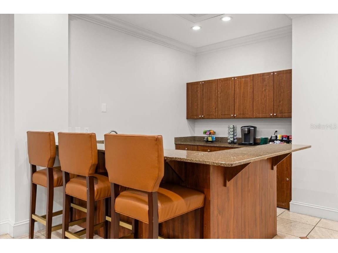 345 Bayshore Boulevard #706 Tampa FL 33606 - TAMPA BAY TB8455305 image32