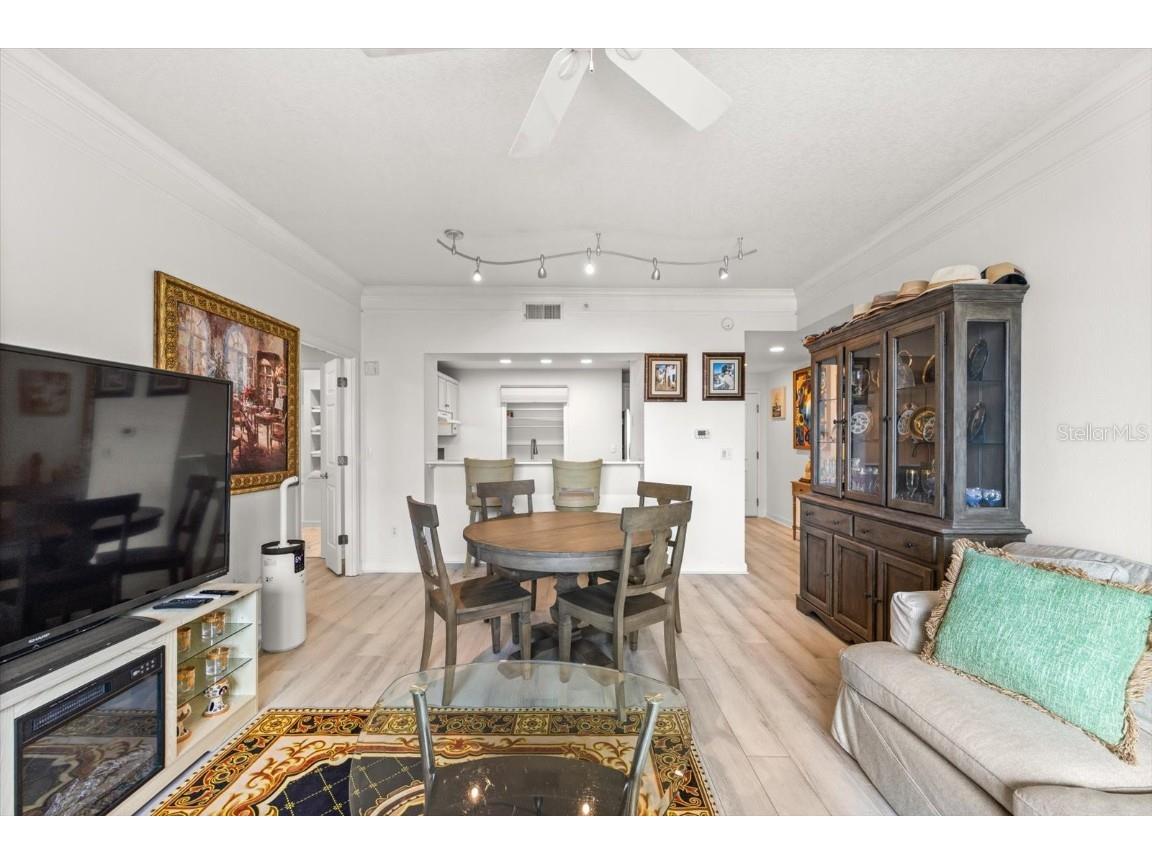 345 Bayshore Boulevard #706 Tampa FL 33606 - TAMPA BAY TB8455305 image8