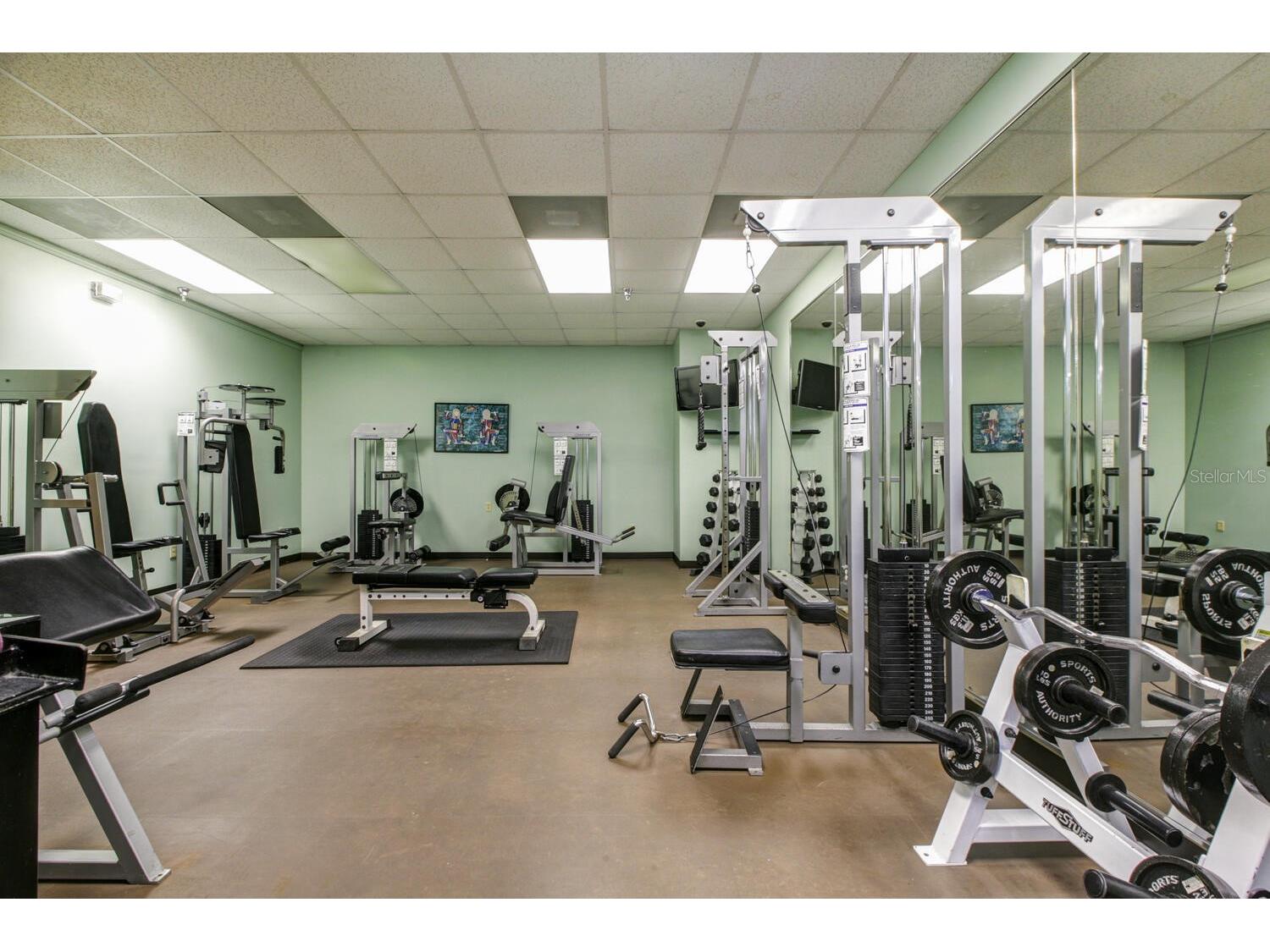 345 Bayshore Boulevard #710 Tampa FL 33606 TB8441448 image24
